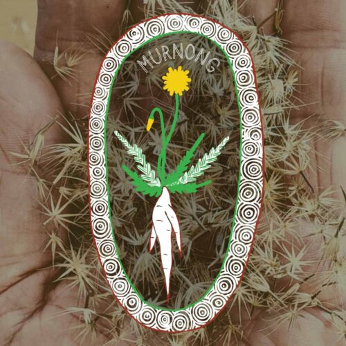 Murnong art seed